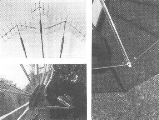 Antenna images-2